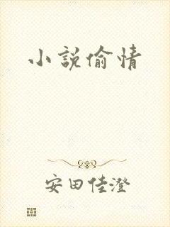 小说偷情