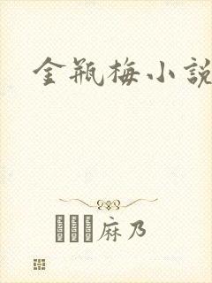 金瓶梅小说下载