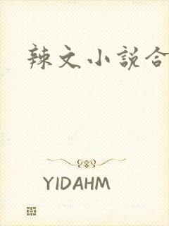 辣文小说合集