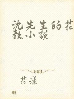 沈先生的花式管教小说