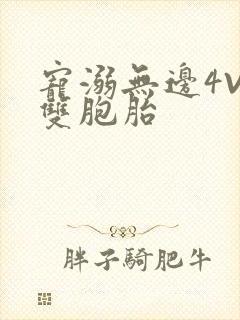 宠溺无边4V2双胞胎