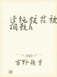 清纯校花被地狱调教h