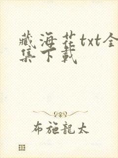 藏海花txt全集下载