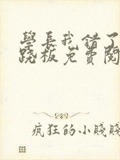 学长我错了 跷跷板免费阅读