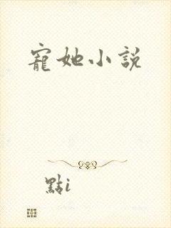 宠她小说