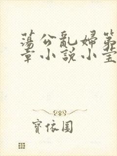 荡公乱妇第51章小说小莹