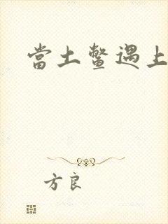 当土鳖遇上海龟