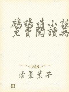 鹧鸪哨小说网站免费阅读无弹窗