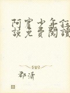 阿宾少年钰慧小说免费阅读笔趣阁