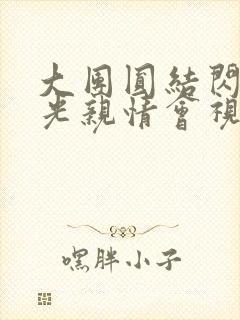 大团圆结闪闪发光亲情会视频