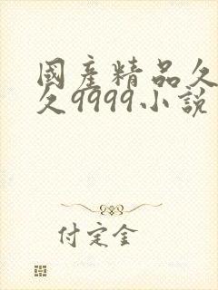 国产精品久久久久9999小说