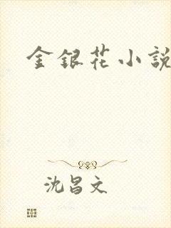 金银花小说乐可
