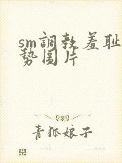 sm调教羞耻姿势图片