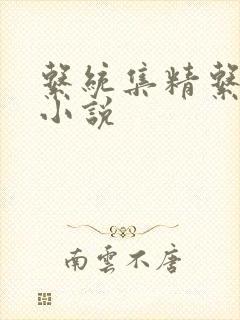 系统集精系统 小说