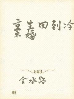 重生回到冷战前军婚