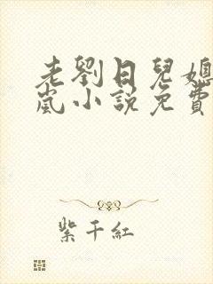 老刘日儿媳妇张岚小说免费阅读