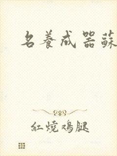 名养成器苏沫沫