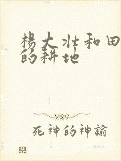 杨大壮和田桂花的耕地