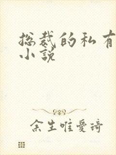 总裁的私有宝贝小说