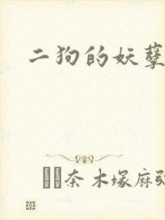 二狗的妖孽人生