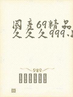 国产69精品久久久久999小说