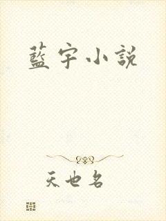 蓝宇小说