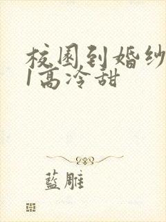 校园到婚纱1V1高冷甜