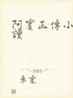 阿宾正传小说在读