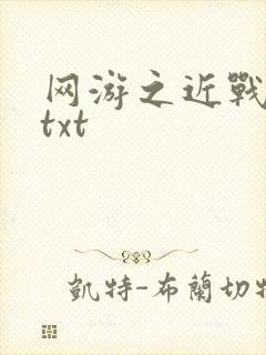 网游之近战法师txt