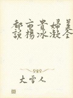 都市贵妇美腿小说杨冰凝全文阅读