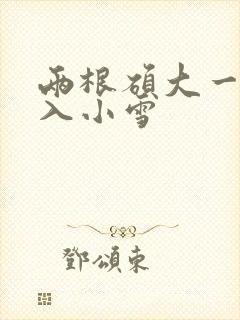 两根硕大一起挤入小雪