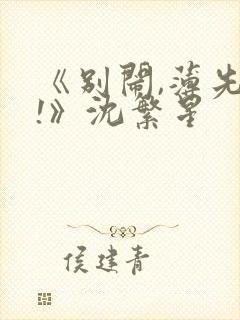 《别闹,薄先生!》沈繁星