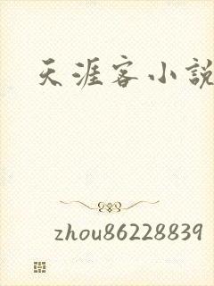 天涯客小说