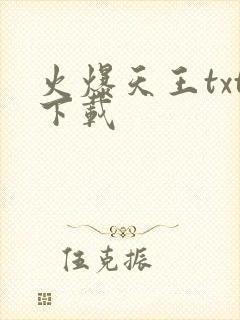 火爆天王txt下载
