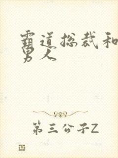 霸道总裁和他的男人