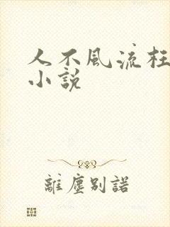 人不风流枉少年小说