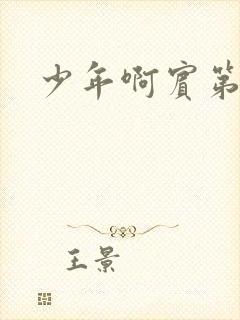 少年啊宾第二部