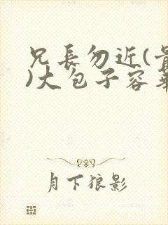 兄长勿近(骨科)大包子容华