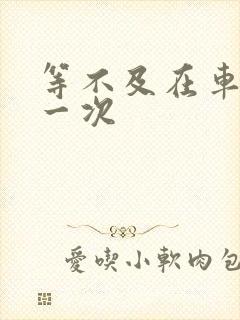 等不及在车里做一次