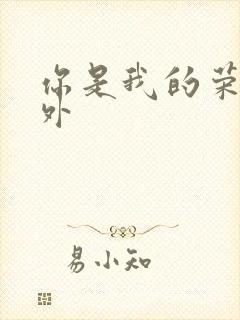 你是我的荣耀番外