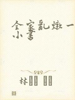 全家乱炖一锅烩小书