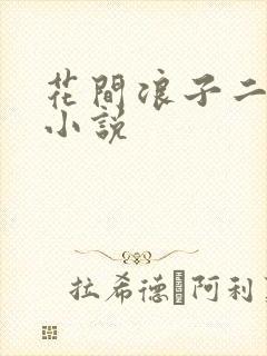 花间浪子二十部小说