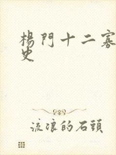 杨门十二寡妇艳史