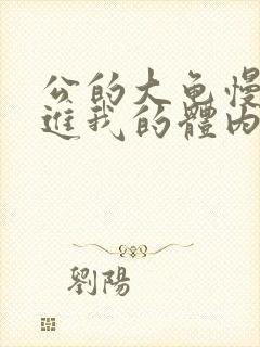 公的大龟慢慢挺进我的体内