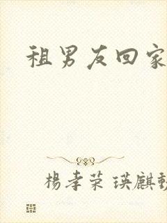 租男友回家过年