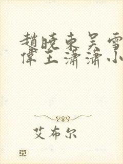 赵晓东吴雪晴郑伟王潇潇小说