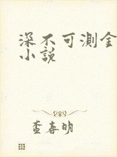 深不可测金银花小说