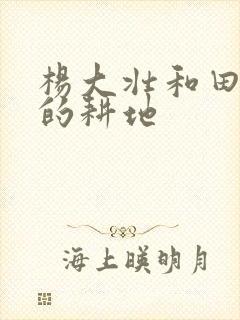 杨大壮和田桂花的耕地