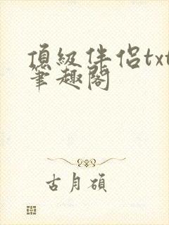 顶级伴侣txt笔趣阁