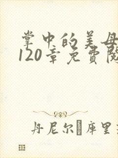 掌中的美母版主120章免费阅读